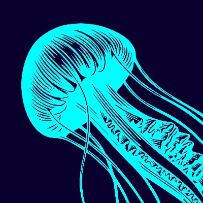 jellyfish logo cutted